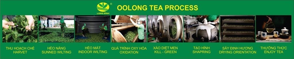 Quy trình sản xuất trà Ô Long 