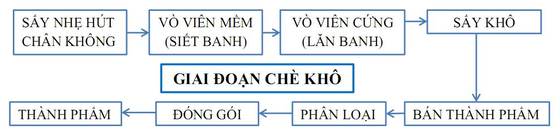 Sản xuất trà Ô long giai đoạn chè khô