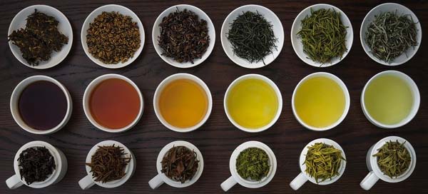 6 loai tra co ban 1 Làm sao phân biệt các loại trà?