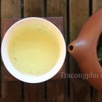 Tra20O20Long 1 Uống trà vào mùa xuân có lợi như thế nào