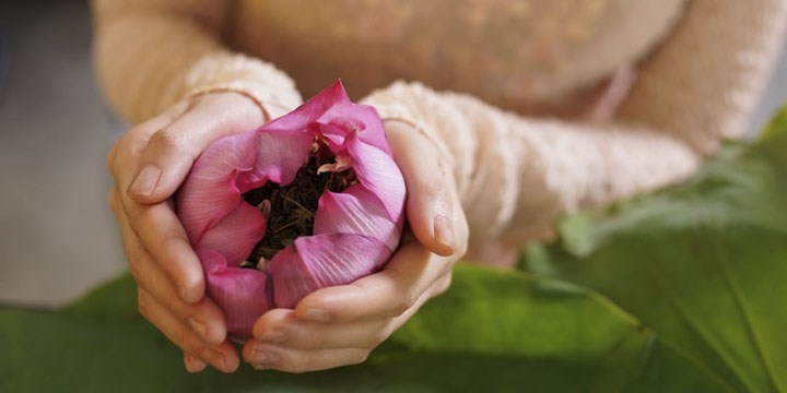 van hoa tra va nghe thuat thuong tra cua nguoi viet 3 Văn hóa trà và nghệ thuật thưởng trà của người Việt